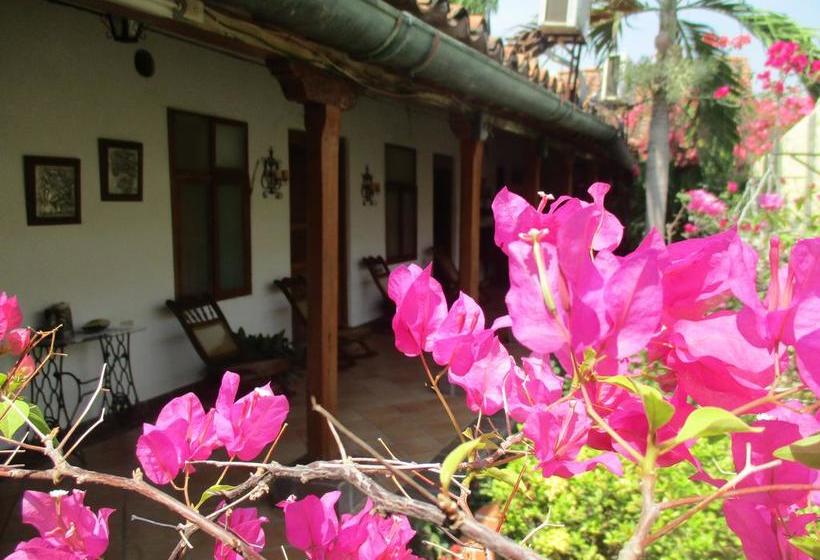 Casa Hotel Villa De Mompox | Mompos | Bolivar | Colombia 19