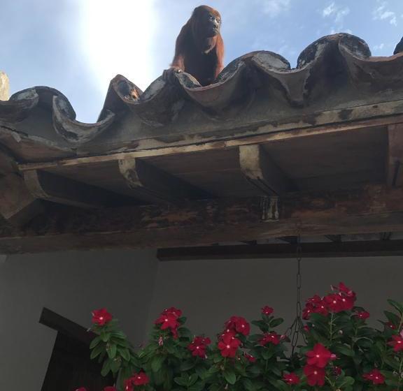 Bed and Breakfast La Casa Amarilla | Mompos | Bolivar | Colombia 16