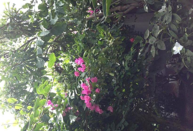 Hotel Portal De La Marquesa | Mompos | Bolivar | Colombia 16