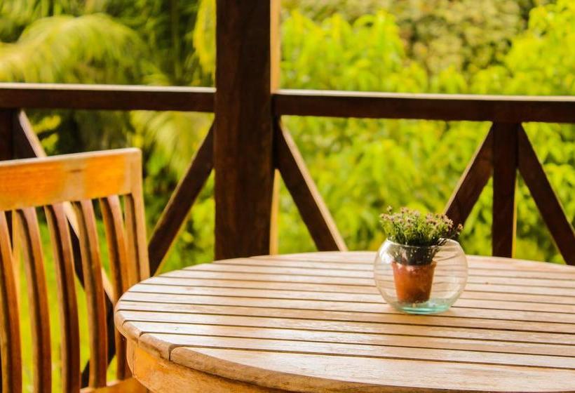 Hotel Utüane | Leticia | Amazonas | Colombia 16