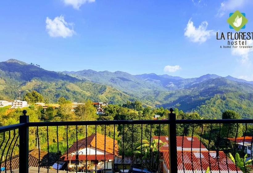 Albergue Hostal La Floresta | Salento | Quindío | Colombia 7