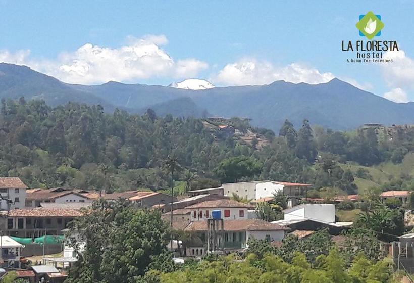 Albergue Hostal La Floresta | Salento | Quindío | Colombia 9