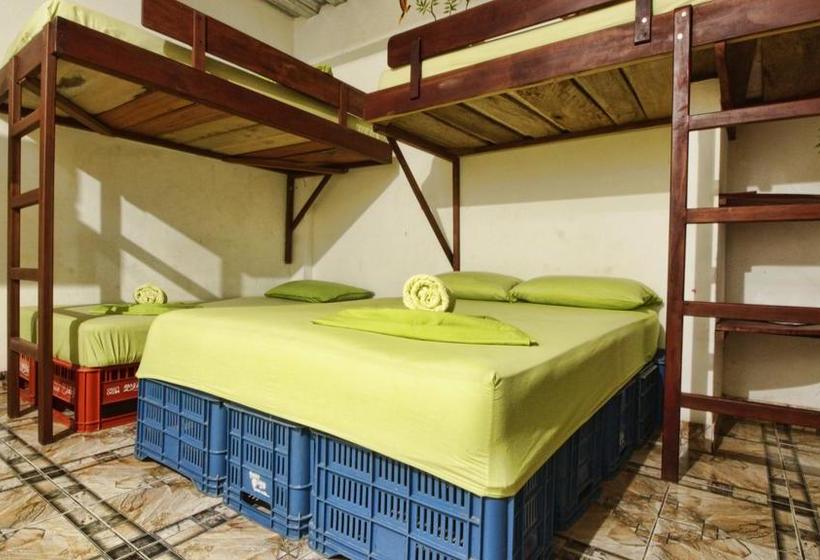 Bed and Breakfast Eco Hotel El Refugio De La Floresta | Leticia | Amazonas | Colombia 12