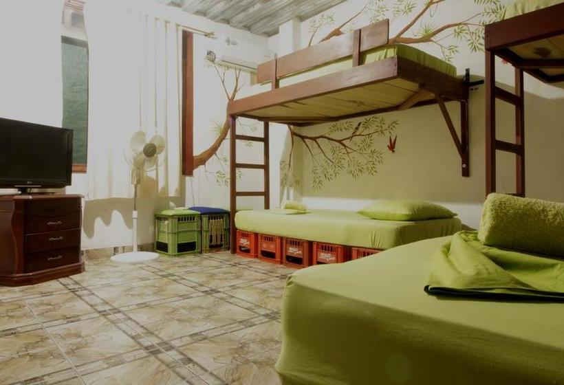 Bed and Breakfast Eco Hotel El Refugio De La Floresta | Leticia | Amazonas | Colombia 13