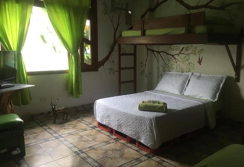 Bed and Breakfast Eco Hotel El Refugio De La Floresta | Leticia | Amazonas | Colombia 2