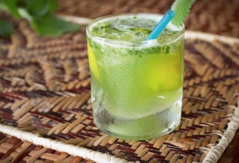 Bed and Breakfast Eco Hotel El Refugio De La Floresta | Leticia | Amazonas | Colombia 3