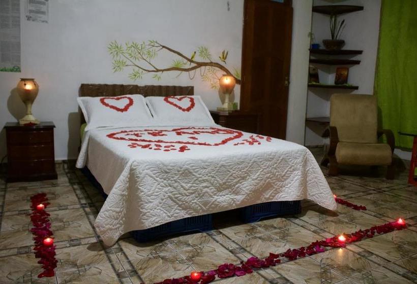 Bed and Breakfast Eco Hotel El Refugio De La Floresta | Leticia | Amazonas | Colombia 7