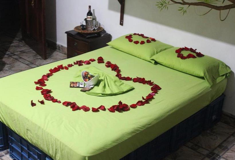 Bed and Breakfast Eco Hotel El Refugio De La Floresta | Leticia | Amazonas | Colombia 8