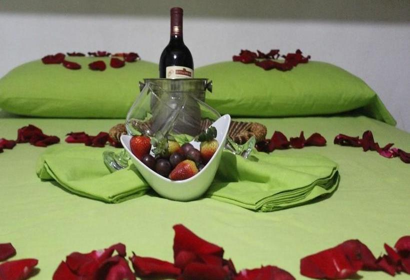 Bed and Breakfast Eco Hotel El Refugio De La Floresta | Leticia | Amazonas | Colombia 9