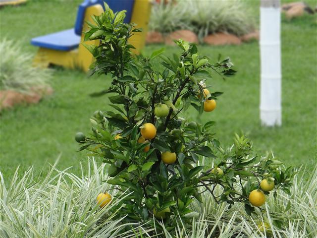 Finca Hotel El Descanso | Calarcá | Quindío | Colombia 20