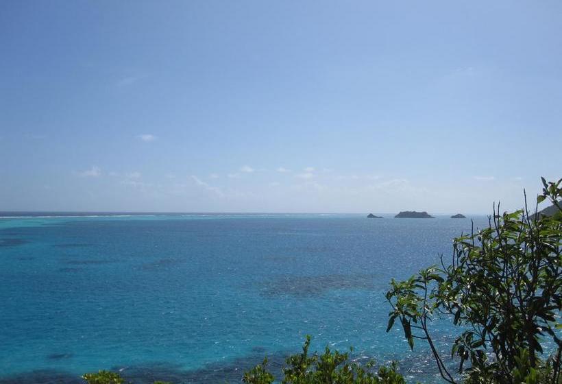 Hotel Y Centro De Buceo Sirius | Providencia | San Andres y Providencia | Colombia 16