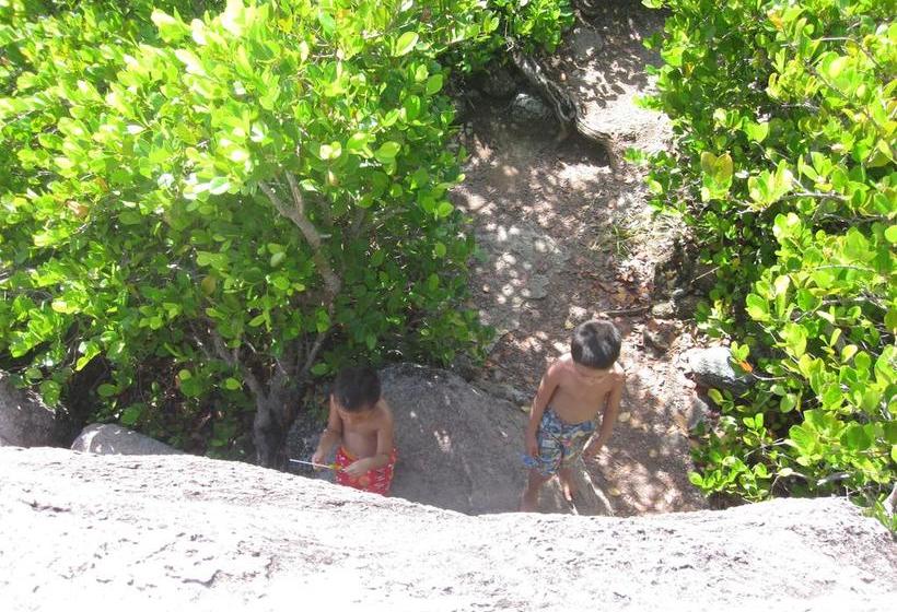 Hotel Y Centro De Buceo Sirius | Providencia | San Andres y Providencia | Colombia 19