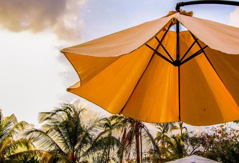 Hotel Playa Tranquilo | San Andrés | San Andres y Providencia | Colombia 14