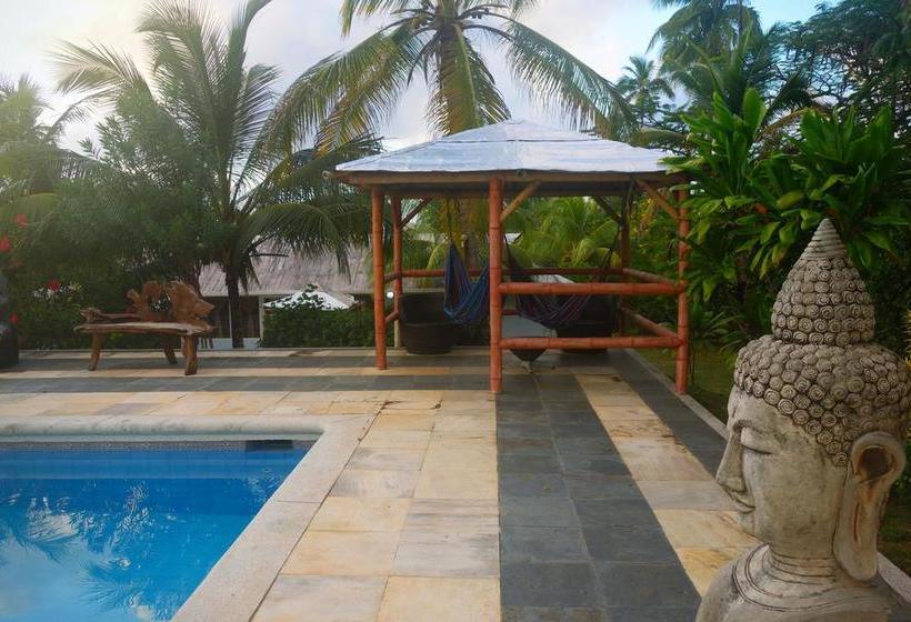 Hotel Playa Tranquilo | San Andrés | San Andres y Providencia | Colombia 4