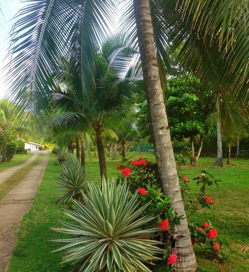 Hotel Playa Tranquilo | San Andrés | San Andres y Providencia | Colombia 6