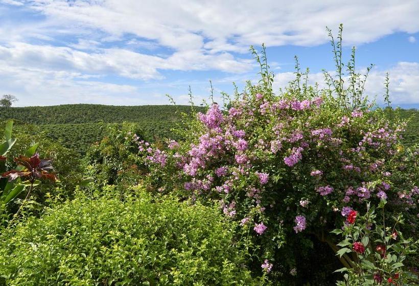 Residencia Finca Hotel Los Girasoles Quindío