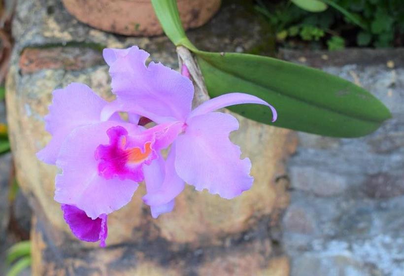 Hotel Valladollyd | San Agustin | Huila | Colombia 10