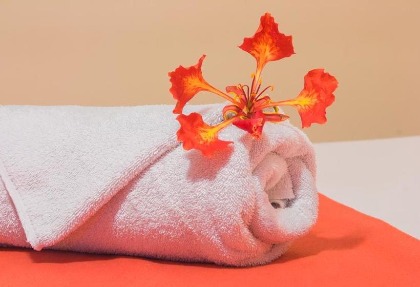 Albergue Hostal Seymour | Puerto Ayora | Galápagos | Ecuador 16