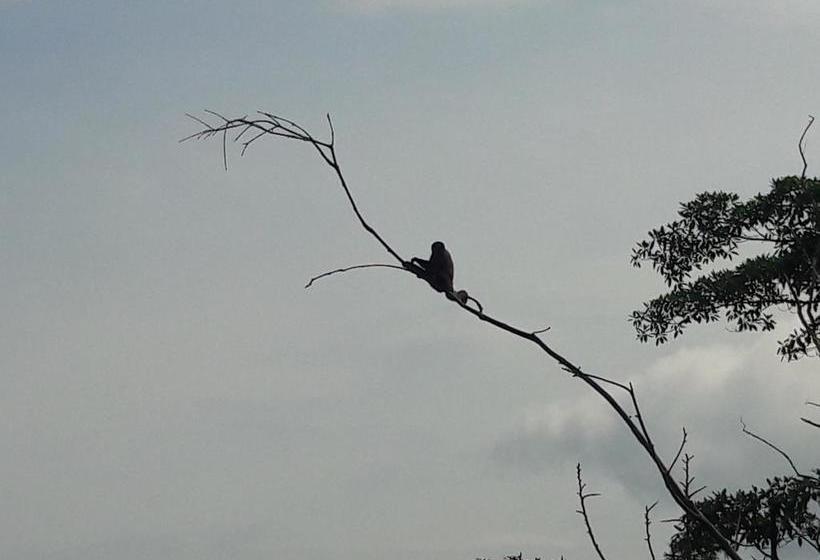 Hotel Marques Amazonico | Nueva Loja | Sucumbíos | Ecuador 18