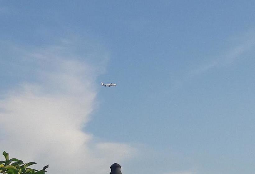 Hotel Marques Amazonico | Nueva Loja | Sucumbíos | Ecuador 19