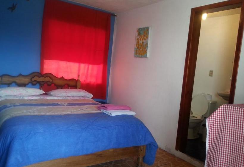 Albergue Hostal Chasqui | Otavalo | Imbabura | Ecuador 15