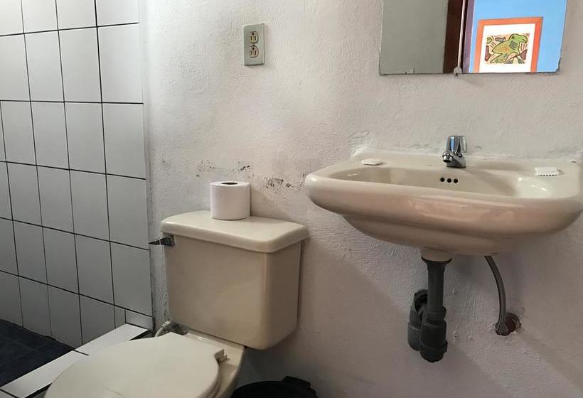 Albergue Hostal Chasqui | Otavalo | Imbabura | Ecuador 5