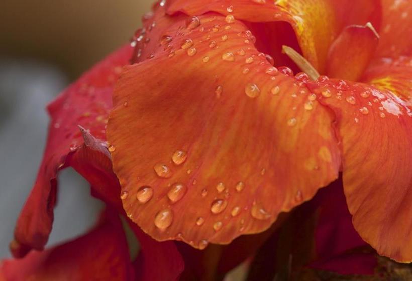 Hotel Shaman Lodge | Tena | Napo | Ecuador 11