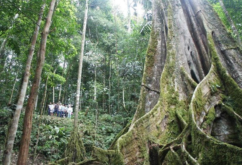 Hotel Shaman Lodge | Tena | Napo | Ecuador 12