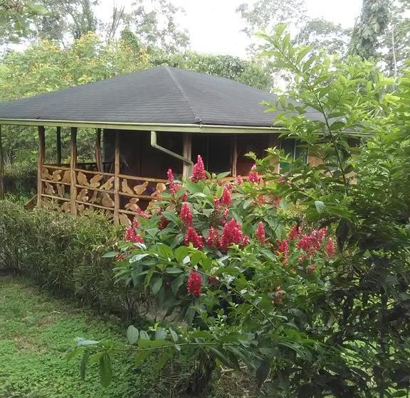 Hotel Shaman Lodge | Tena | Napo | Ecuador 16