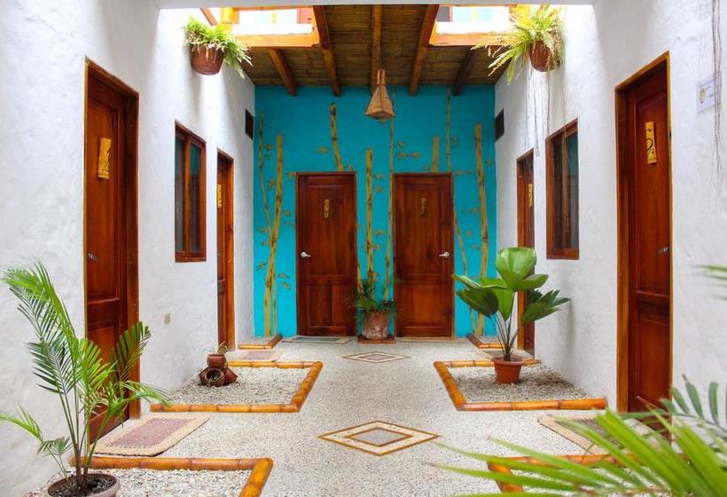 Bed and Breakfast Karukera Montañita