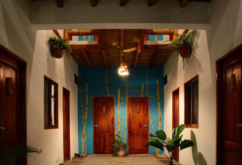 Bed and Breakfast Karukera | Montañita | Santa Elena | Ecuador 4