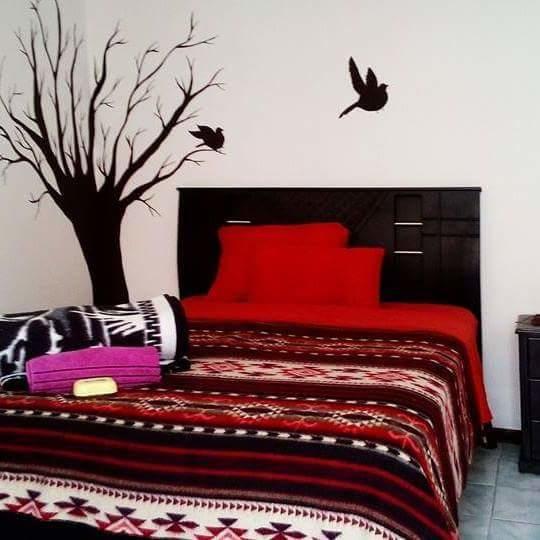 Albergue The Backpacker Hostal | Ibarra | Imbabura | Ecuador 18