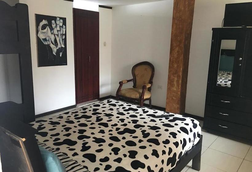 Albergue The Backpacker Hostal | Ibarra | Imbabura | Ecuador 2