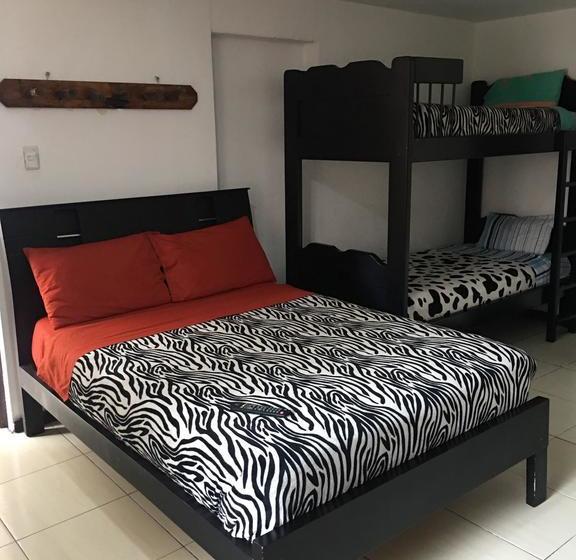 Albergue The Backpacker Hostal | Ibarra | Imbabura | Ecuador 8