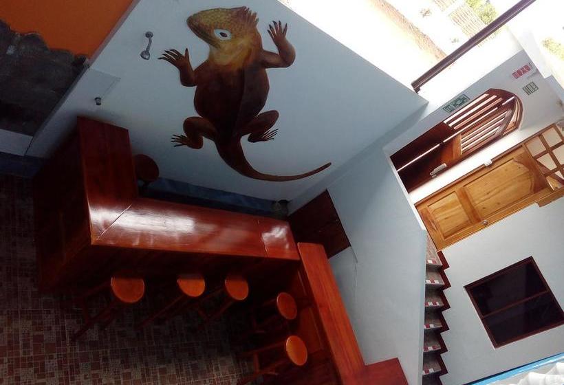 Albergue Hostal El Pinzón | Puerto Ayora | Galápagos | Ecuador 11