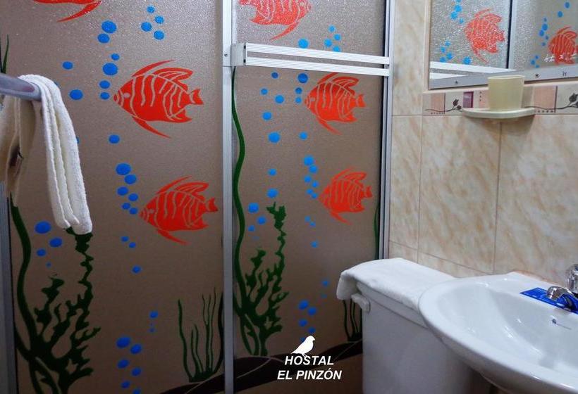 Albergue Hostal El Pinzón | Puerto Ayora | Galápagos | Ecuador 15