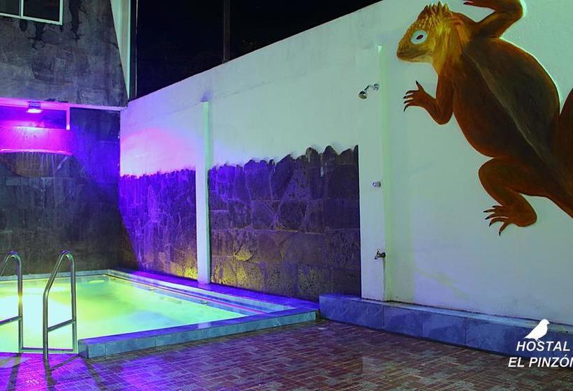 Albergue Hostal El Pinzón | Puerto Ayora | Galápagos | Ecuador 6