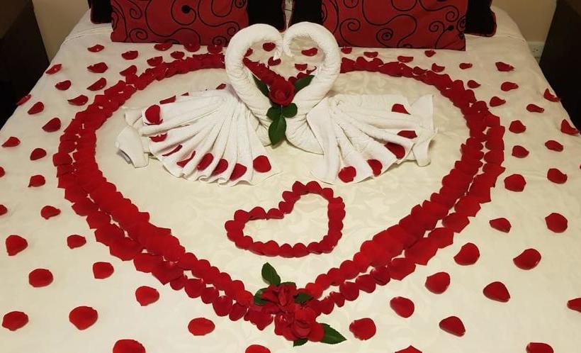 Hotel Novalux | Ambato | Tungurahua | Ecuador 7