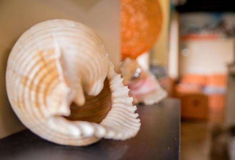 Hotel Los Balcones De Mompiche | Mompiche | Esmeraldas | Ecuador 13