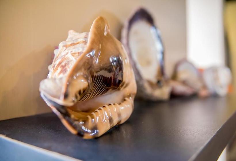 Hotel Los Balcones De Mompiche | Mompiche | Esmeraldas | Ecuador 14