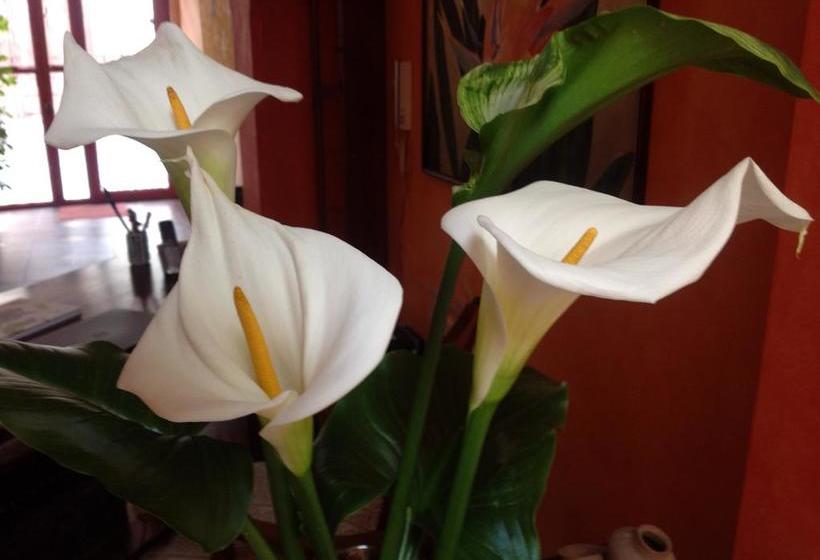 Casa Montalvo Bed & Breakfast | Cuenca | Azuay | Ecuador 4