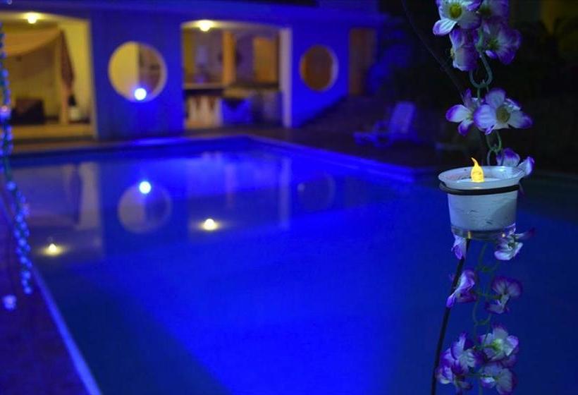 Hotel Toachi | Santo Domingo de los Colorados | Santo Domingo de los Tsáchilas | Ecuador 15