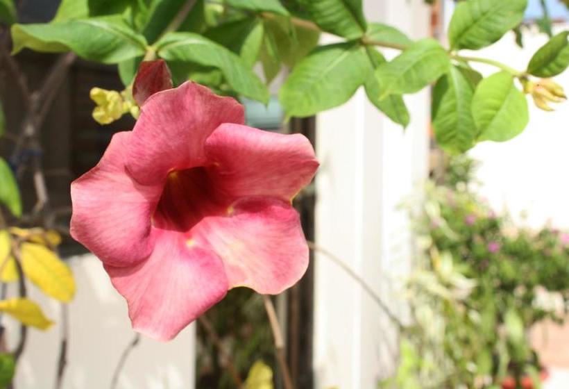 Bálsamos Hotel Boutique | Guayaquil | Guayas | Ecuador 11