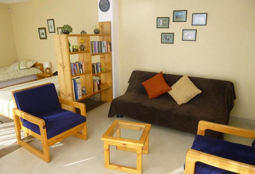 Hotel Rincon Aleman | Riobamba | Chimborazo | Ecuador 6