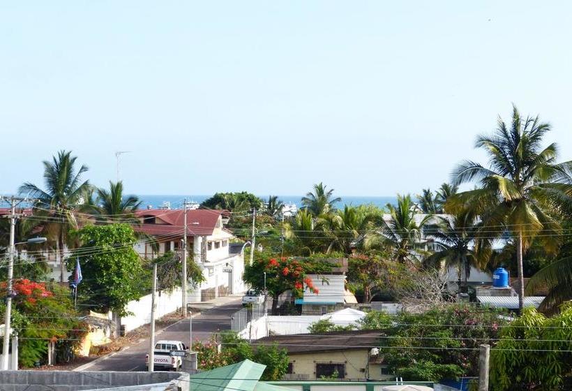 Albergue Ocean Dreams | Puerto Ayora | Galápagos | Ecuador 12