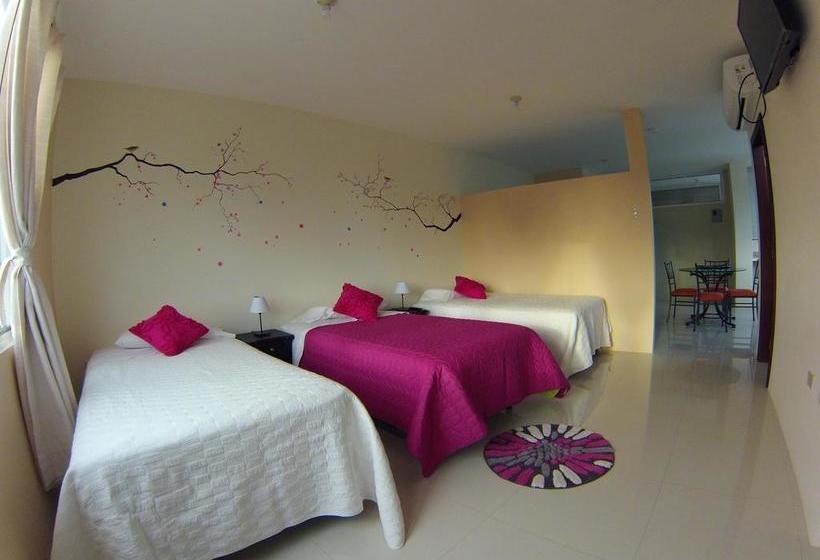 Albergue Ocean Dreams | Puerto Ayora | Galápagos | Ecuador 6