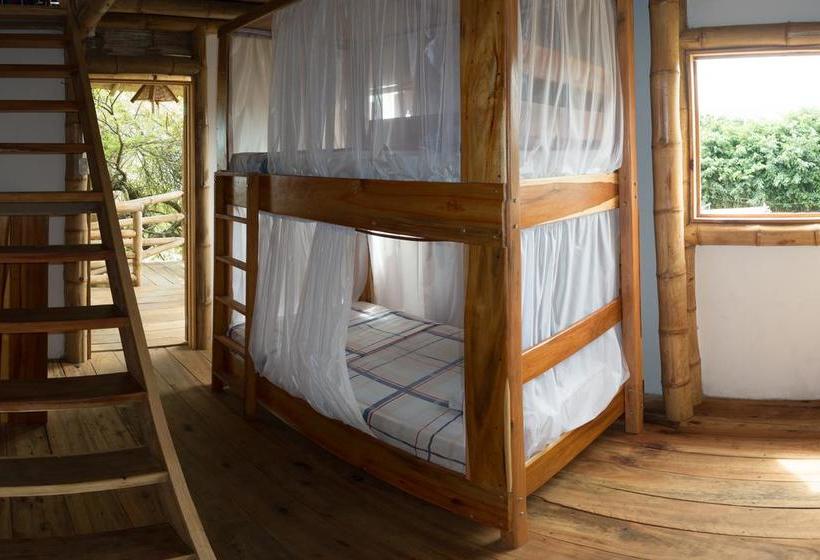 Bed and Breakfast Hostal Monte Libano | Puerto López | Manabí | Ecuador 10