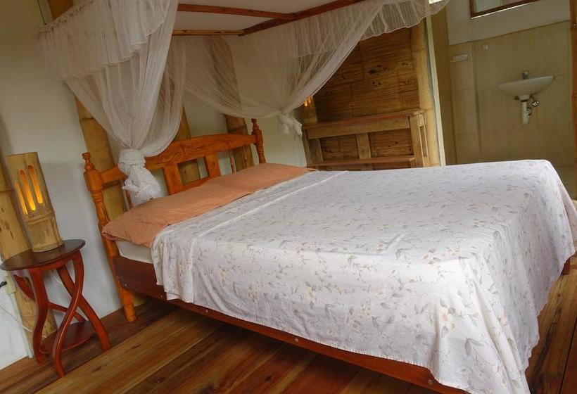 Bed and Breakfast Hostal Monte Libano | Puerto López | Manabí | Ecuador 15