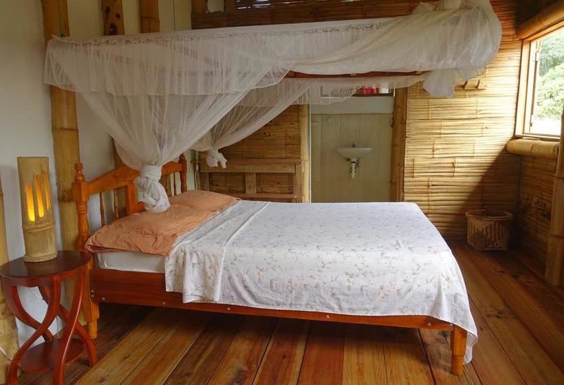 Bed and Breakfast Hostal Monte Libano | Puerto López | Manabí | Ecuador 17