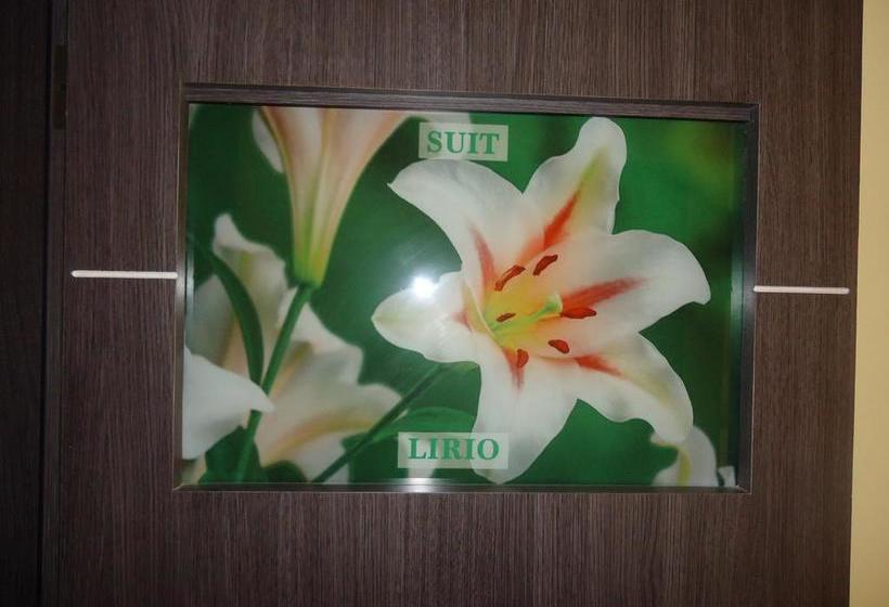 Hotel Joya De La Selva | Tena | Napo | Ecuador 19